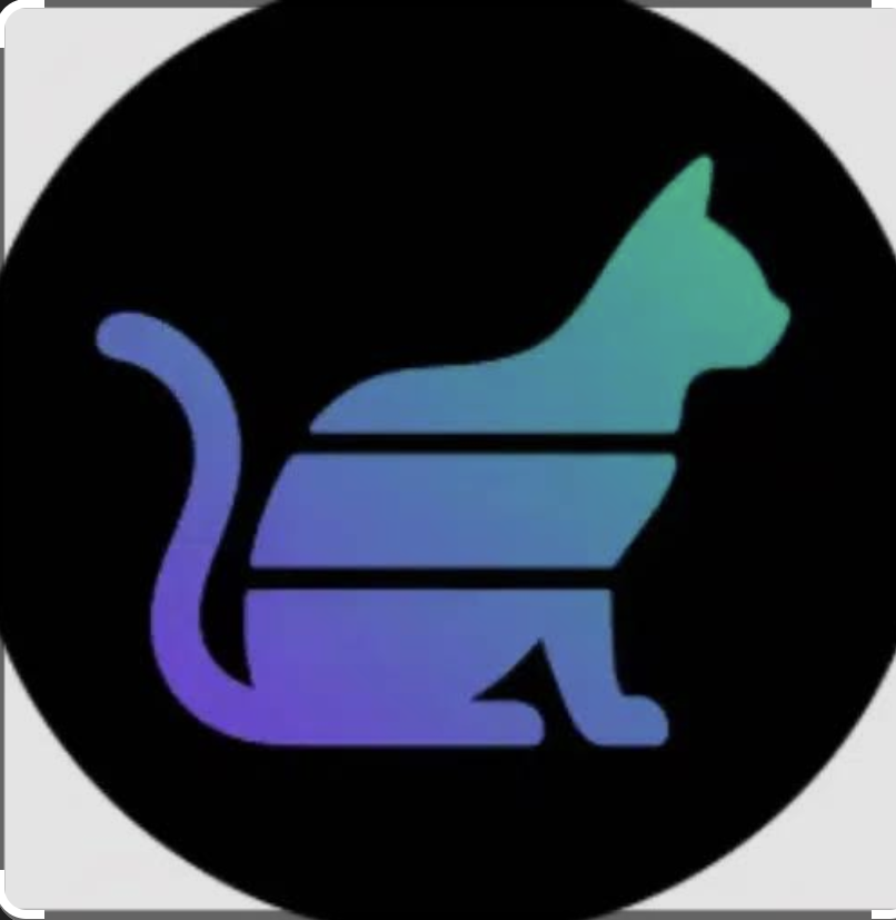 An ordinary cat in grayscale, before everything changed